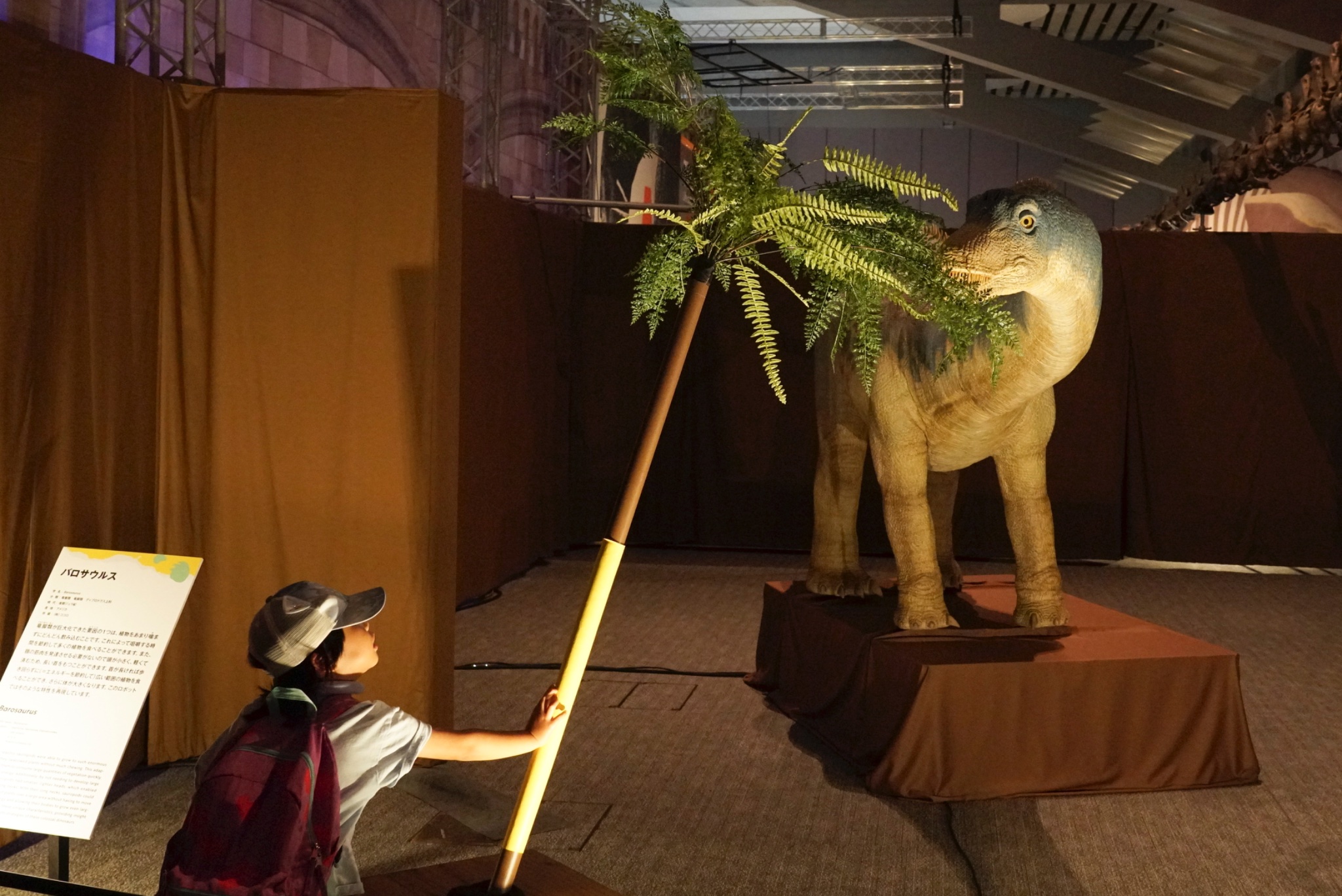 巨大恐竜展 - Αναζήτηση / X