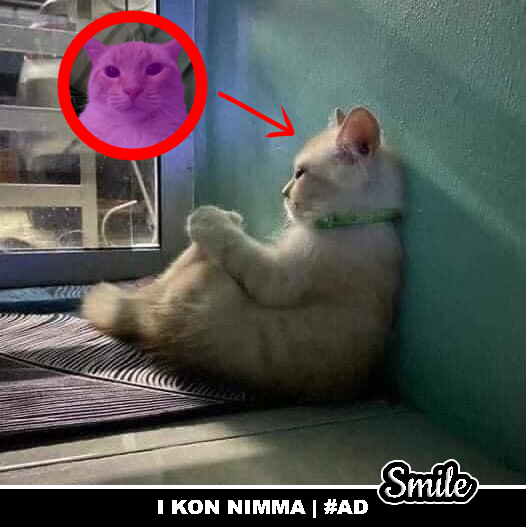 Ich fühle mich so unfassbar verloren in dieser Welt