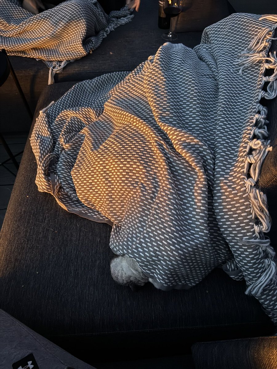 BrainMechanic tweet media