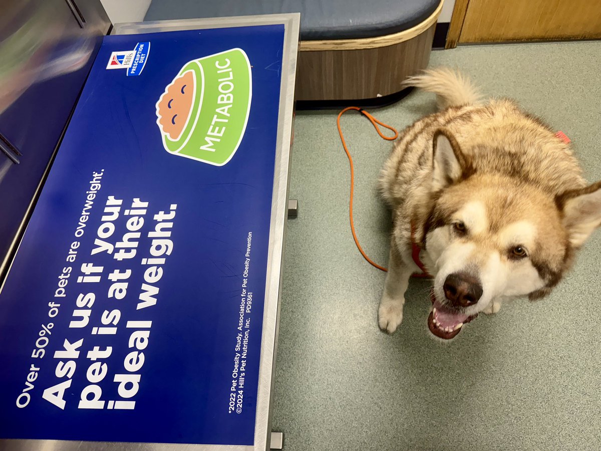 Pike taught me something useful today. If a medical professional tells you to get on the scale and you refuse, there’s nothing they can do about it.