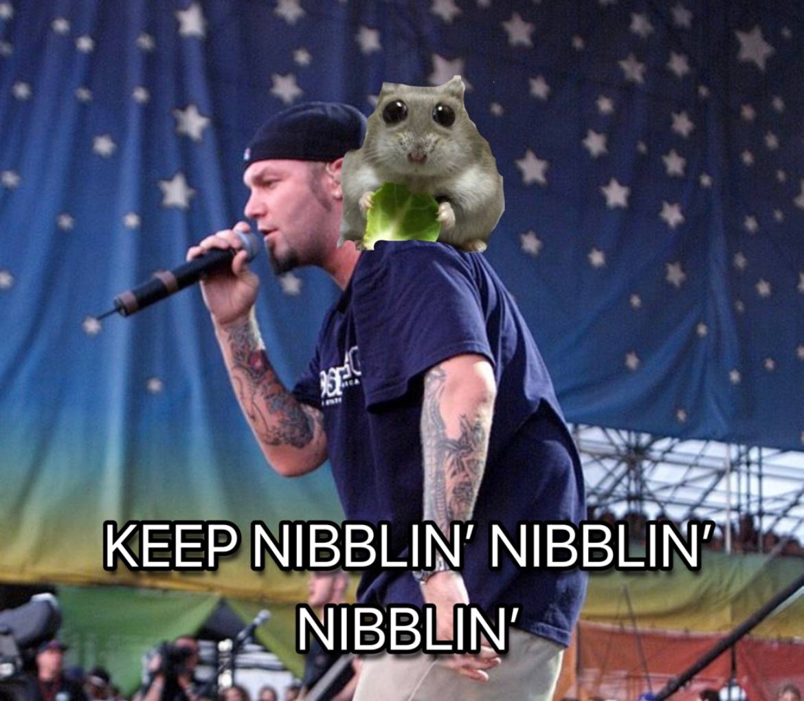 KEEP $NIBBLER 

HOLD $NIBBLER

LOVE $NIBBLER