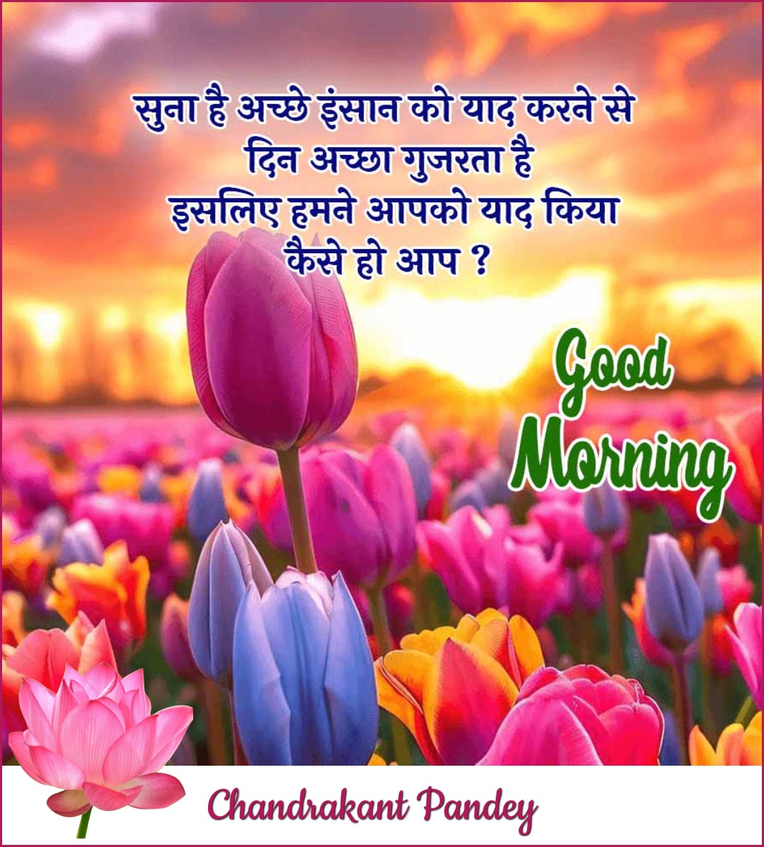 सुप्रभातम 🙏💐