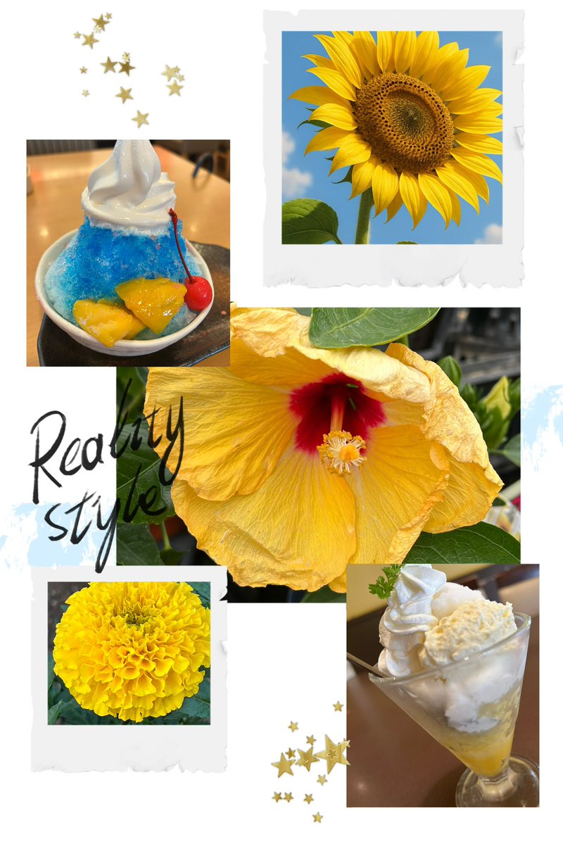 *
2025       08
01日        金曜日    晴れ☀️☁️☁️
*
おはよう ございます☀️

水の日  観光の日  花火の日  島の日🏝
パインの日  ハイビスカスの日🌺 etc
*
大きく深呼吸して
8月も 宜しくお願い いたします🍀
*
いつも ありがとうございます✨️
安全に 健やかな一日を*⋆✈︎
*
❤︎消えたり