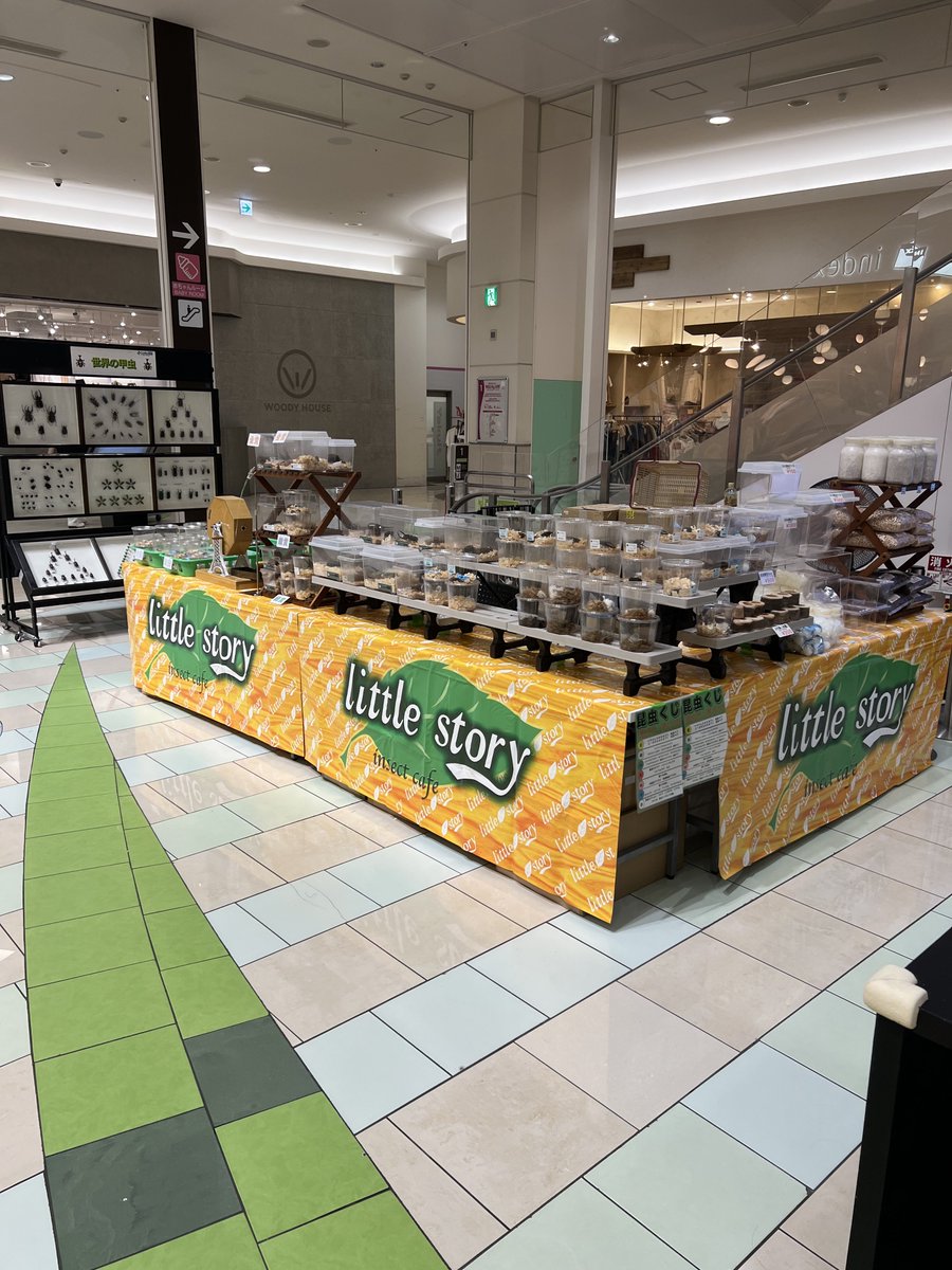 little_story07's tweet photo. おはようございます😃
イオンモール神戸北イベント２日目、まもなく開店です♪
イオンモール神戸北1Fすずらんコートにてお待ちしておりますので、是非お立ち寄りください🙇
店舗も通常通り営業しておりますので、合わせてよろしくお願いいたします🙇
今日も外は非常に暑くなっておりますので、お気をつけてご来店ください。
お待ちしております☺️