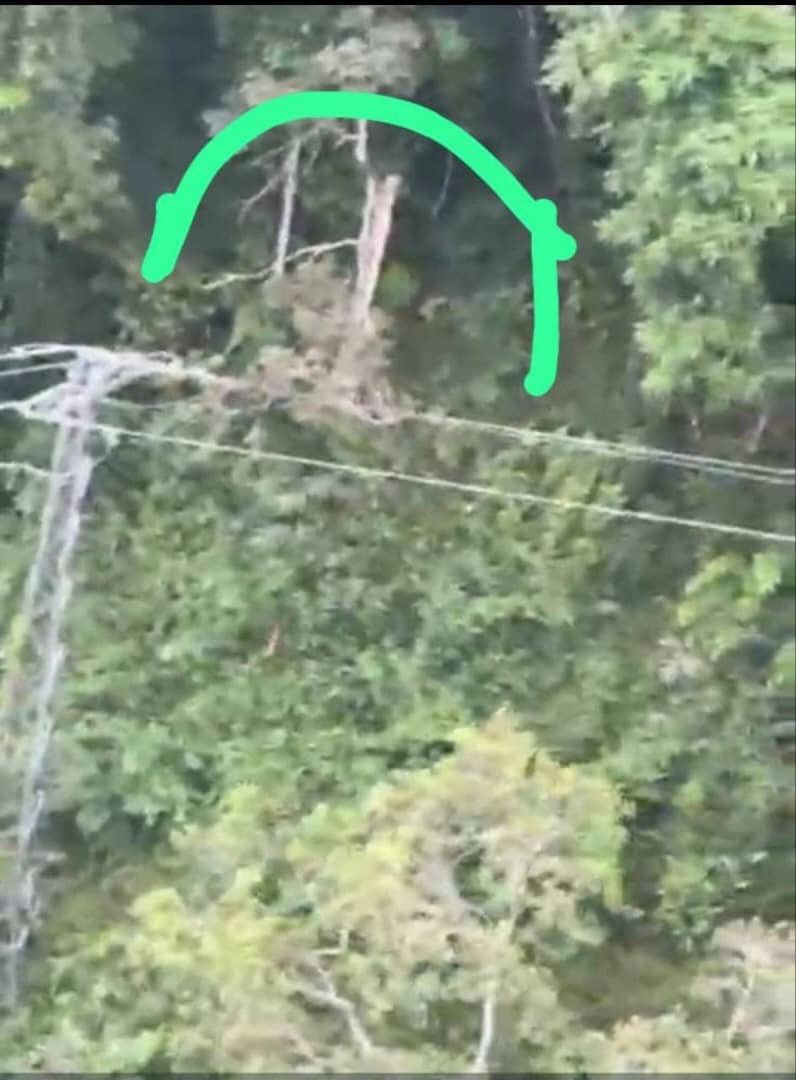 Kurucuteando tweet media