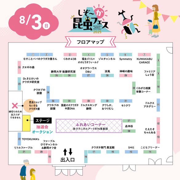 ゾエチャンネル🐝クワカブ tweet media