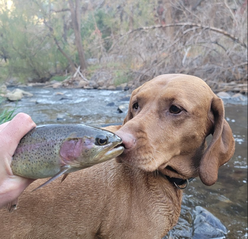 Brian Shannon, CMT tweet media