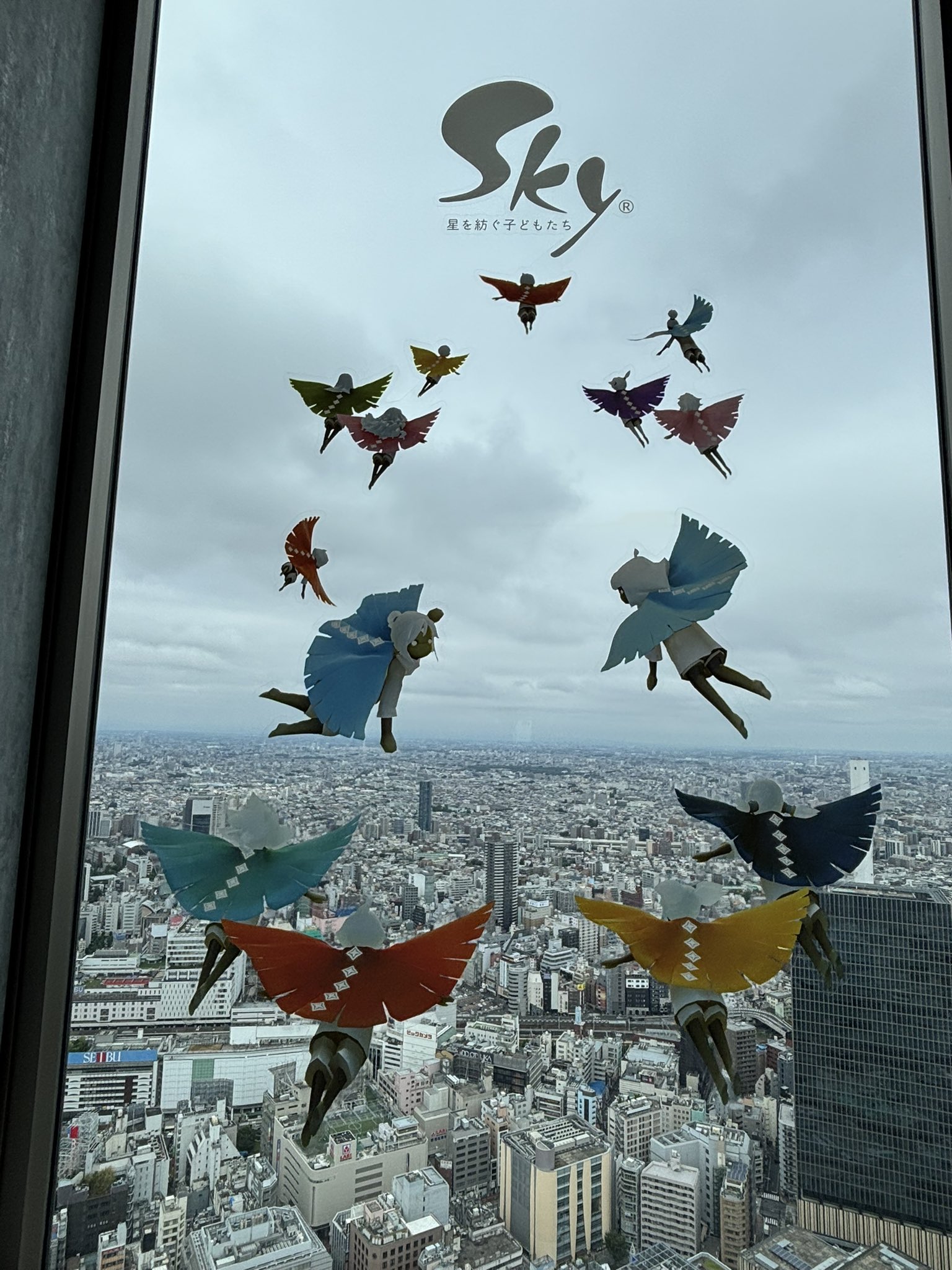プカプカ猫　in　sky The night before the rescue cats Azuki and Sakura move