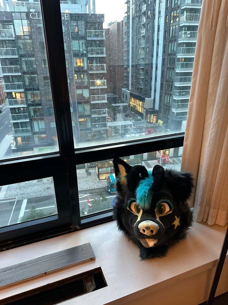 Hell yeah ! 

#Canfur2025