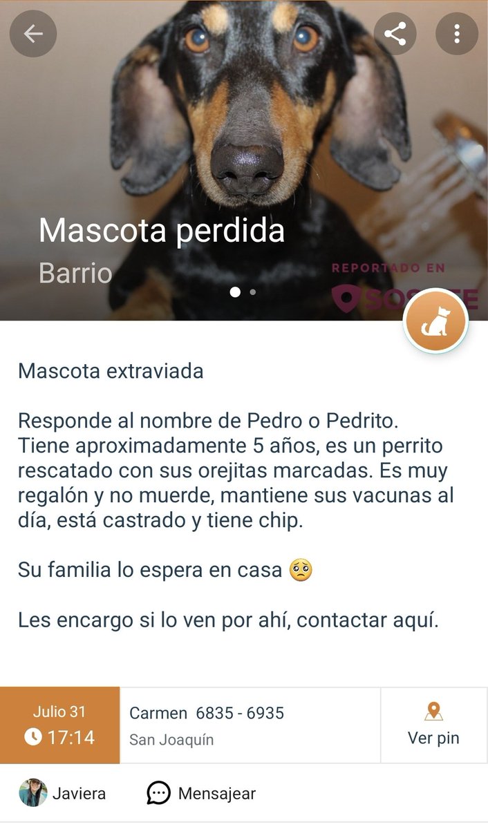 Atención #SanJoaquin buscan a Pedro/Pedrito. Favor RT! 
Reporte Sosafe: links.sosafeapp.com/hHyESWeFjdgMBu…