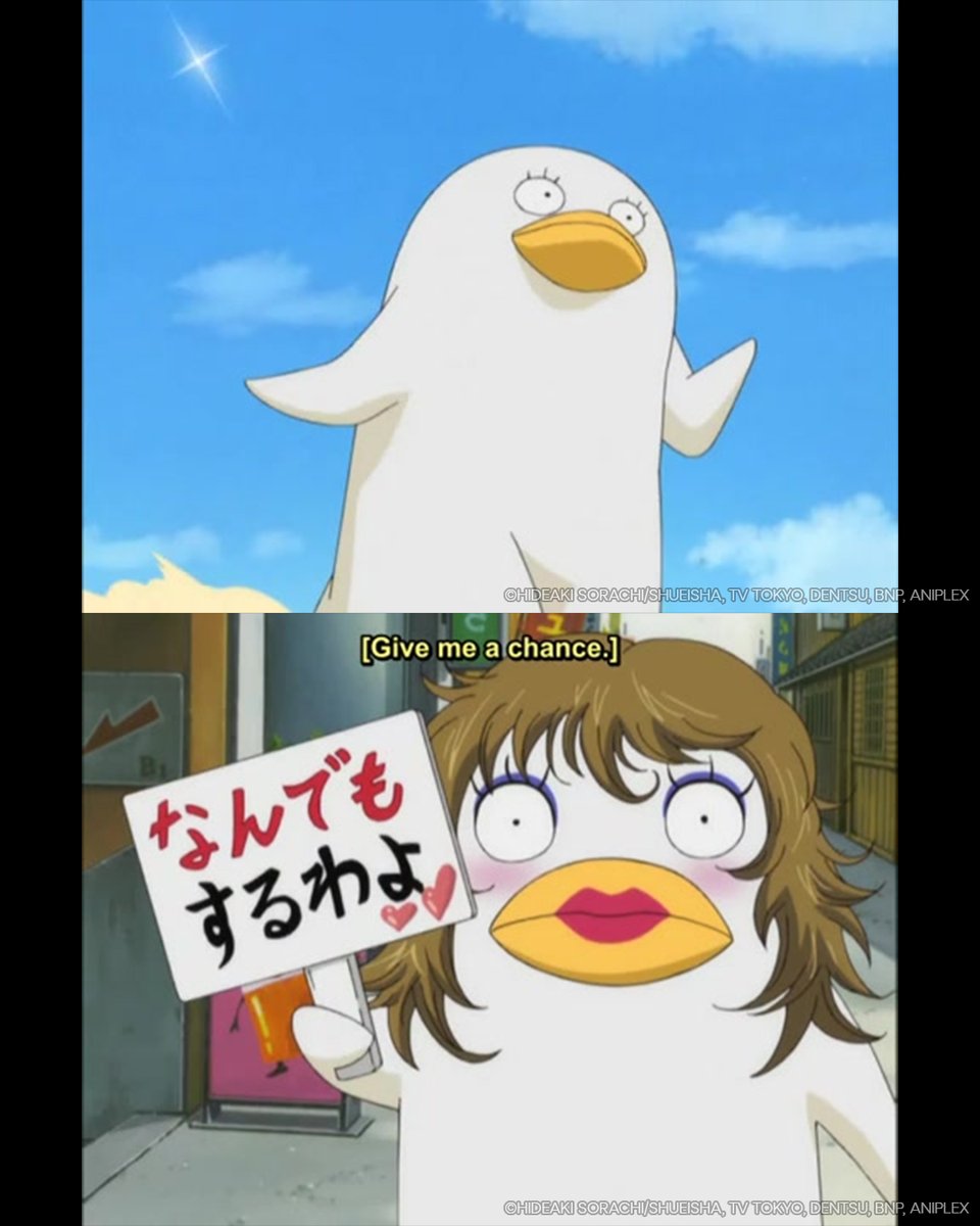 Crunchyroll's tweet image. New animal just dropped.