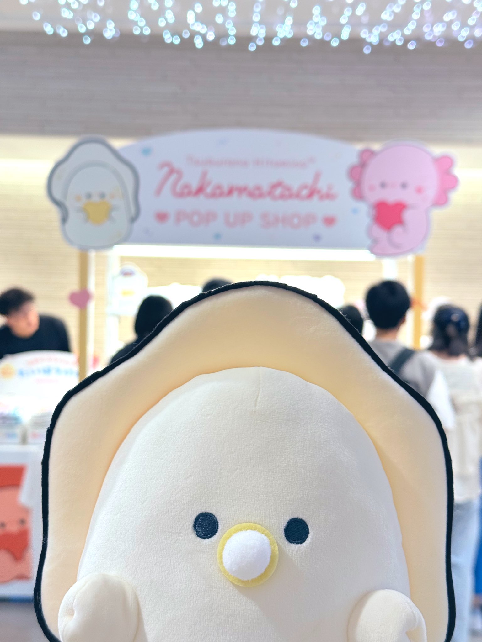 つぶらな瞳　ハワイ限定　まとめ売り 🌺ハワイ限定🌺 つぶらな瞳のHawaii だいやもんどへっど/Diamond