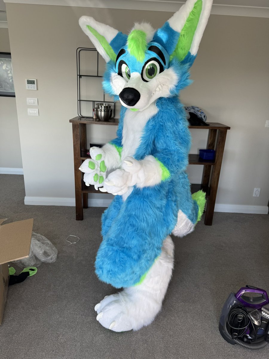 Someone special came in the mail today! 
So happy to introduce Zoomer to yall ⚡️
.
.
#fursuit #fursuitphotos