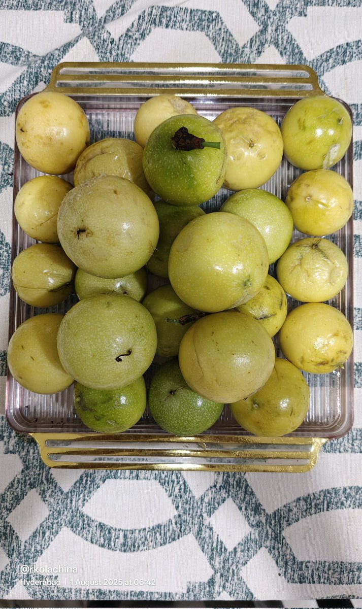 Good morning friends.
First crop of Passion Fruit from my backyard.