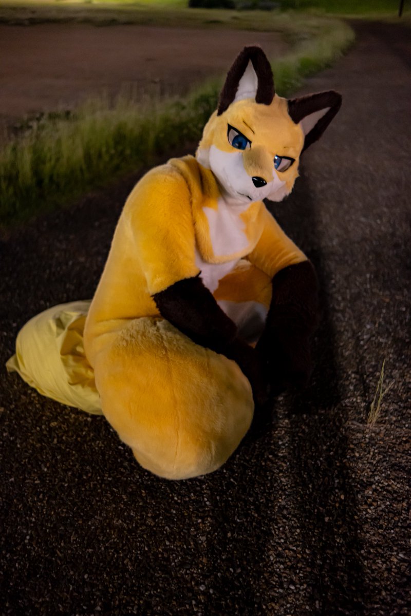 これはイタズラ仕込んでたら見つかっちゃったトールこゃ
#FursuitFriday