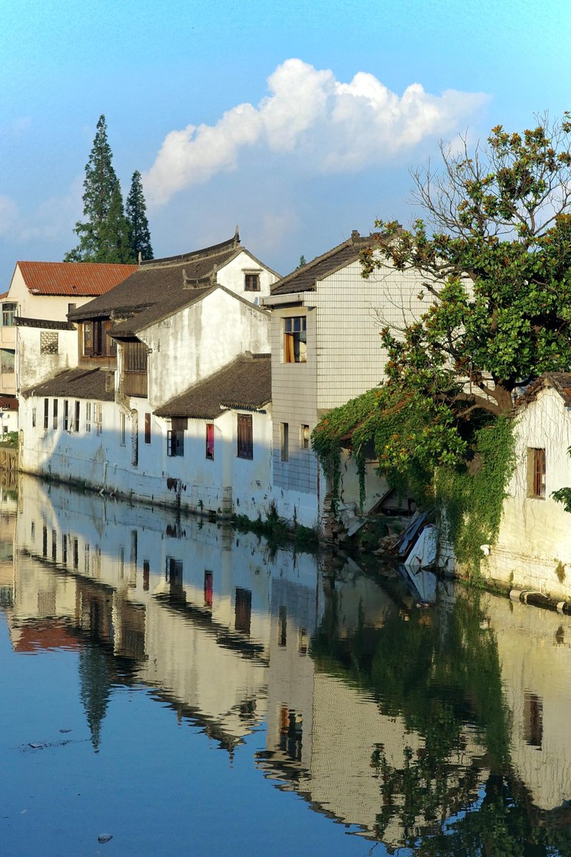 VisitSongjiang's tweet image. Lush #greenery, dancing #sunlight, and picture-perfect clouds - Sijing Ancient Town is #summer magic! Stroll along the river past whitewashed houses draped in vines. Watch locals chat under shady trees while dragonflies dance over the water. #shanghailife #Watertown #Songjiang