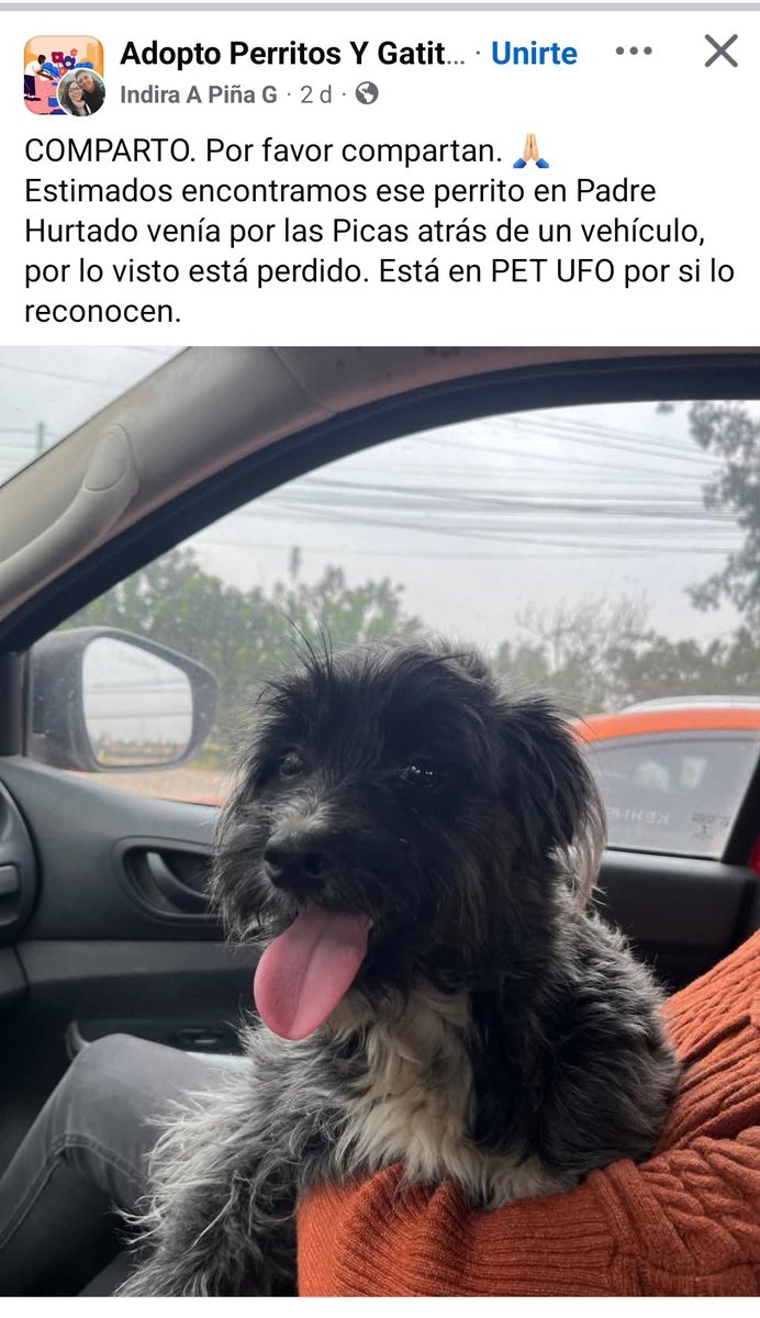 #URGENTE #PERDIDO