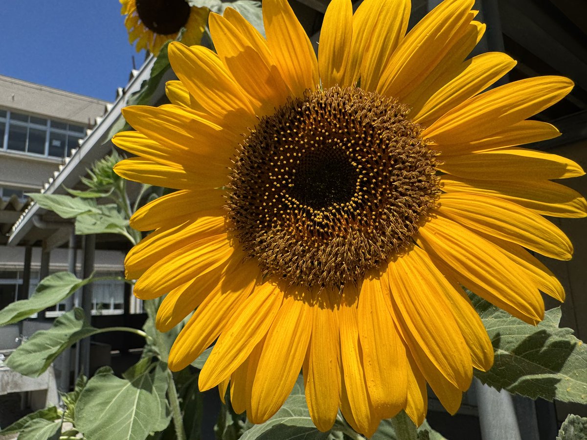 那須野 綾 tweet media