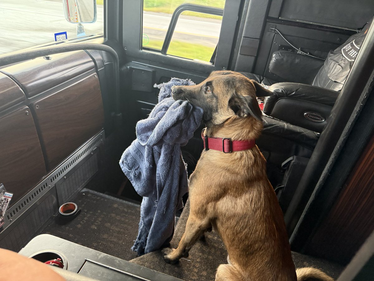 King of the road… Tomahawk with his favorite towel keeping eye on the highway as we are making our trek to Sturgis.