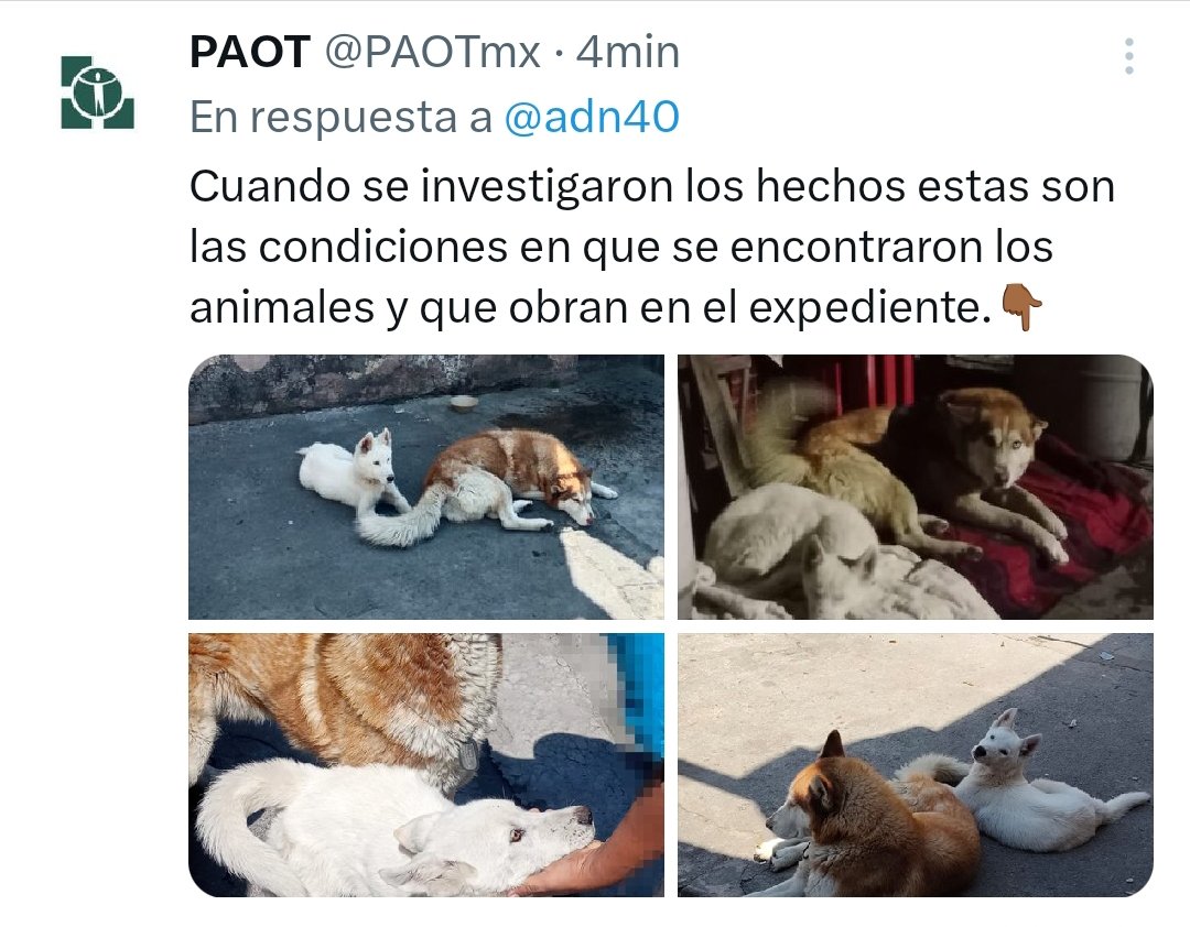 Dice <a href="/PAOTmx/">PAOT</a> que no hay maltrato animal porque cuando ellos van los desatan de las patas, QPM de dicha autoridad. URGE nombre ya a Titular de <a href="/PAOTmx/">PAOT</a> que si quiera trabajar <a href="/ClaraBrugadaM/">Clara Brugada Molina</a> . No olviden la protesta del 7 de agosto frente a las oficinas de la #BurocraciaCriminal.