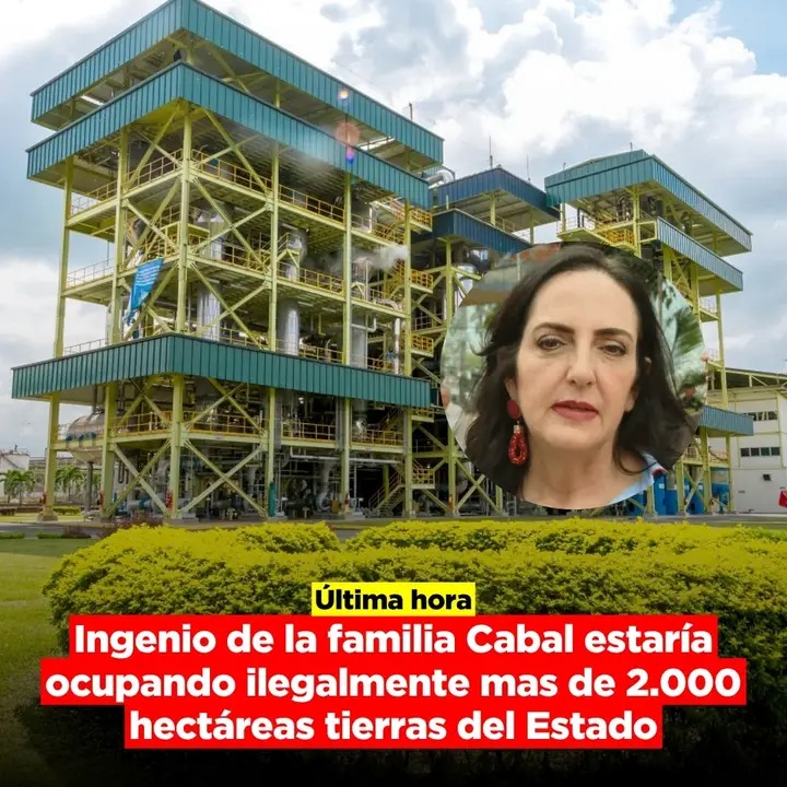 La Agencia Nacional de Tierras (ANT) denunció que el ingenio Pichichí, empresa propiedad de la familia de la familia Cabal, estaría ocupando de manera ilegal 2000 hectáreas de terrenos baldíos de la Nación en el Valle del Cauca.

Según confirmó Adolfo Guevara, coordinador