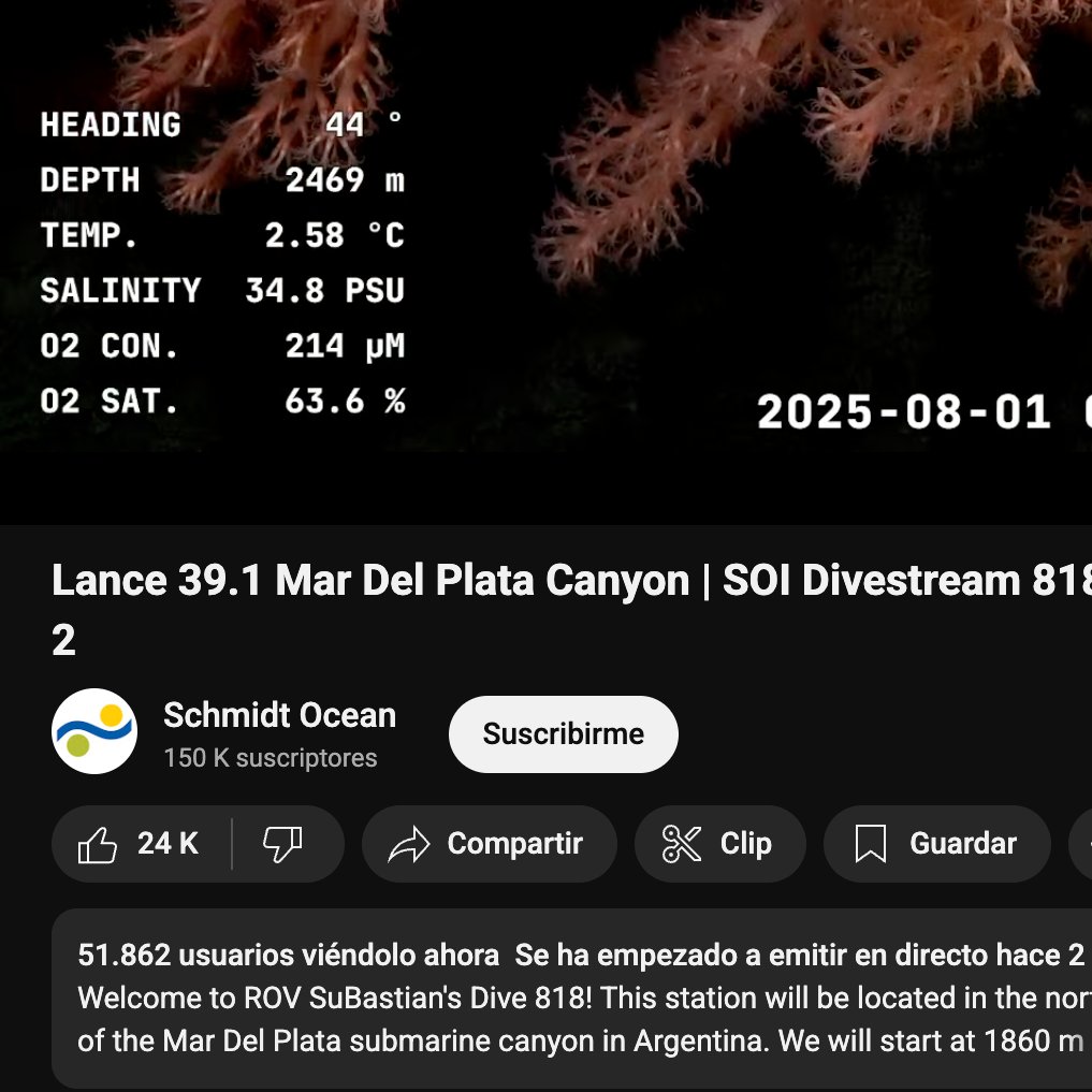 Siempre Conicet
Nunca Neura
...lo mismo la sociedad 👇