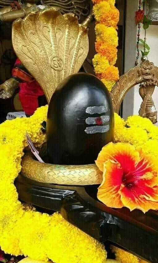 हर हर महादेव जय जय महादेव 
शिव शिव महादेव बम बम महादेव 
🙏🙏🙏