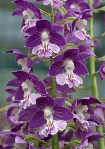 Guuuuuuud morning everyone 
💜🌸💜🌸💜🌸💜🌸💜🌸💜
    💜रास्ता मिल ही जाता है यदि इंसान 
बढ़ता रहे आगे अपनी निराशा को मार कर 
जिंदगी की भूल-भुलैया में भटका वहीं है 
जो बैठ गया अपनी #हिम्मत हार कर 💜
    💜🌸#सब_का_मंगल_हो🌸💜