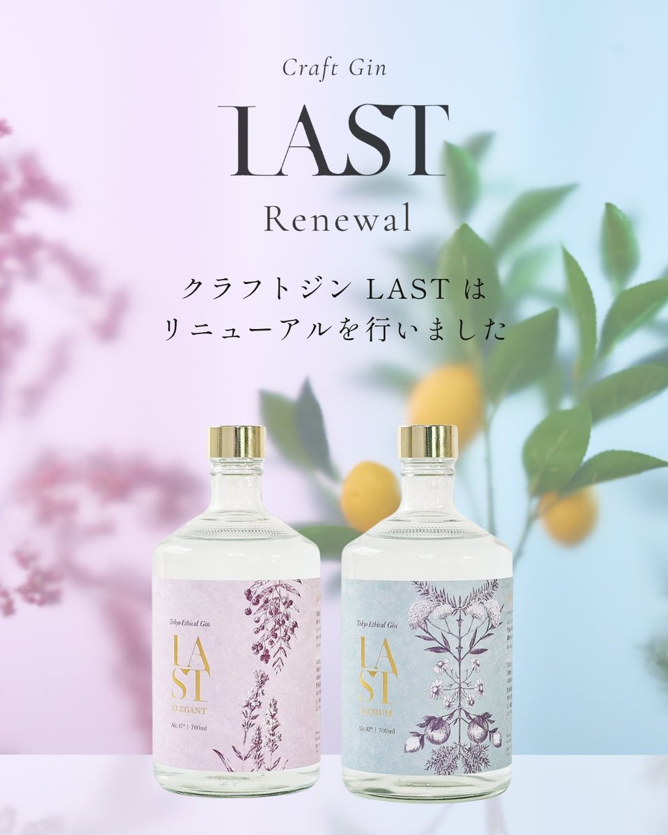 新生化 英語版foil 4枚セット 歌舞伎町コラボ「Ne10」 ×「LAST ELEGANT」エシカルジンギフト