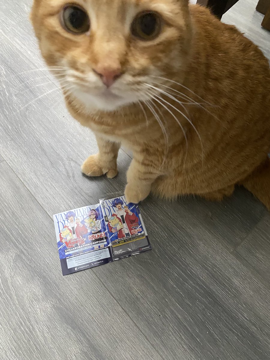 peterPBE's tweet photo. Missed the opportunity to get the nao ones but it was fun to go to Round1 to get the Akina crits(the ones I actually cared about) #cardfightvanguard #round1USA #CFVR1collab https://t.co/eDxfotnnMM
