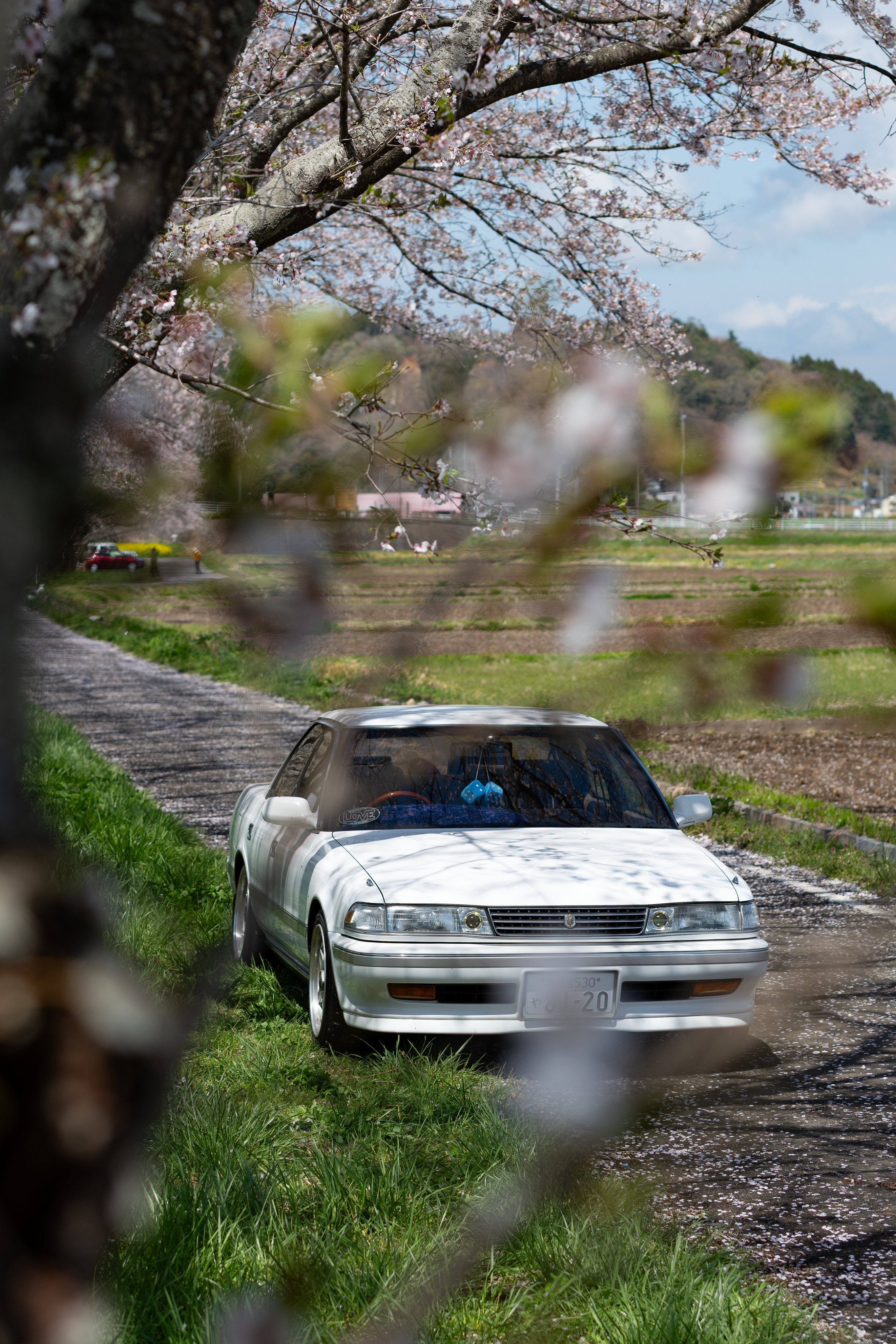 よういちさま SSVM064 – セイコー ルキア – セイコーオンラインストア | 時計