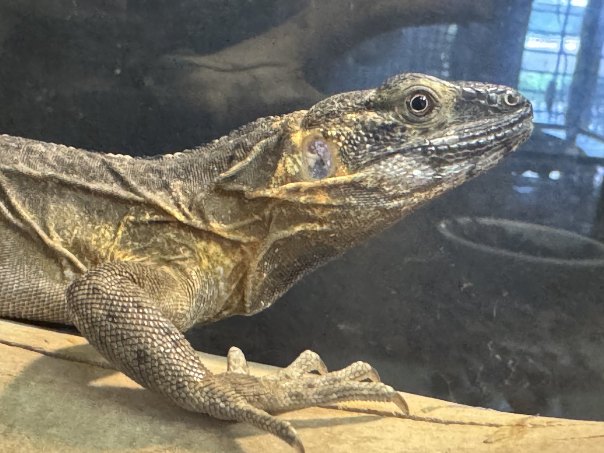 WING21

本日20時まで営業です。
宜しくお願い致します！