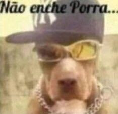 animaisfrases_'s tweet photo. https://t.co/QIPC8jGnvu