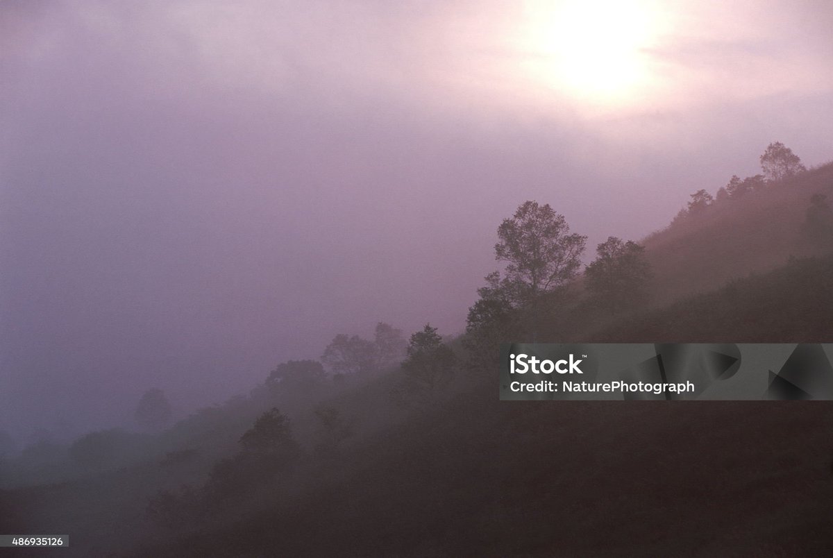 velvia100's tweet photo. Foggy morning (KIRIGAMINE plateau)
Nagano prefecture Suwa city
https://t.co/JMGB1mqOFb
#Latesummer #earlyfall #Plateau #wetlands #Marshland #morning #fog #morningfog #sunrise #trees #hill #Kirigamine #nature #landscape #Japan https://t.co/NPcDnJrZ4I