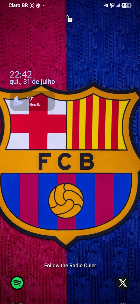 Qual o seu wallpaper?