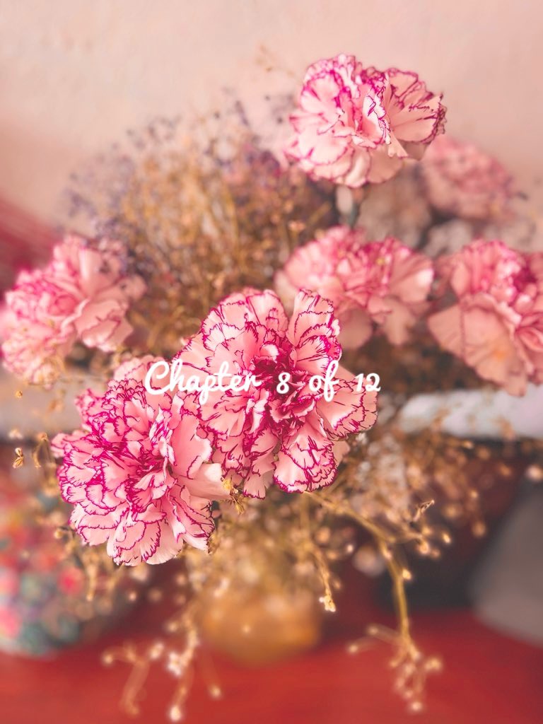 bellarosa000's tweet image. Chapter 8 of 12  🩷
Hello August !

#HeaderUpdate