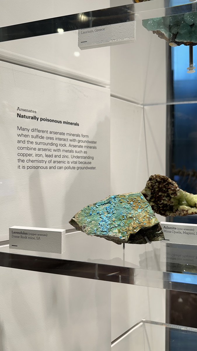 Чтоб вы понимали в АУ даже камни ядовитые