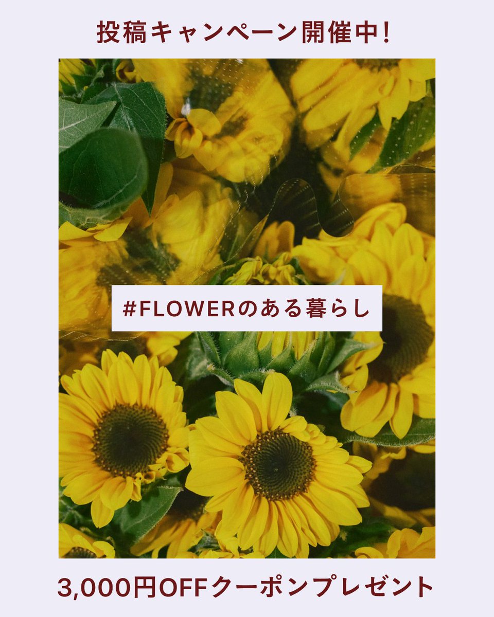 flowr_is's tweet photo. ＼SNS投稿キャンペーン実施中！／
FLOWERから届いたお花やグリーンをSNSに投稿するだけ！
抽選で10名様にブーケ・グリーンが3,000円OFFになるクーポンをプレゼント🎁

#flower_is
👇参加方法👇 https://t.co/5hIgSlkJIj