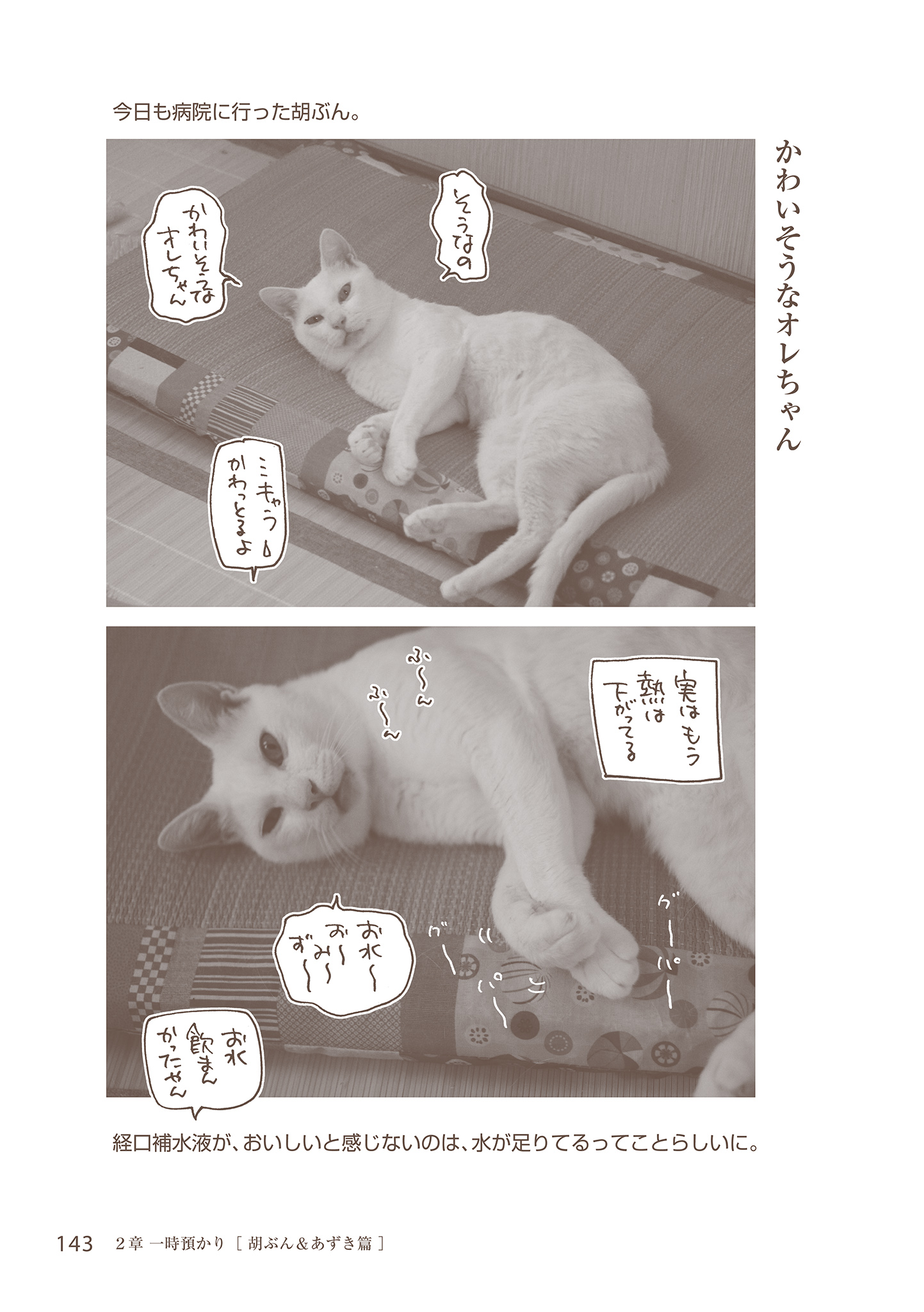 10OL1438 猫マンガ　【くるねこ】　くるねこ大和　28冊 くるねこ | くるねこ大和 |本 | 通販 | Amazon