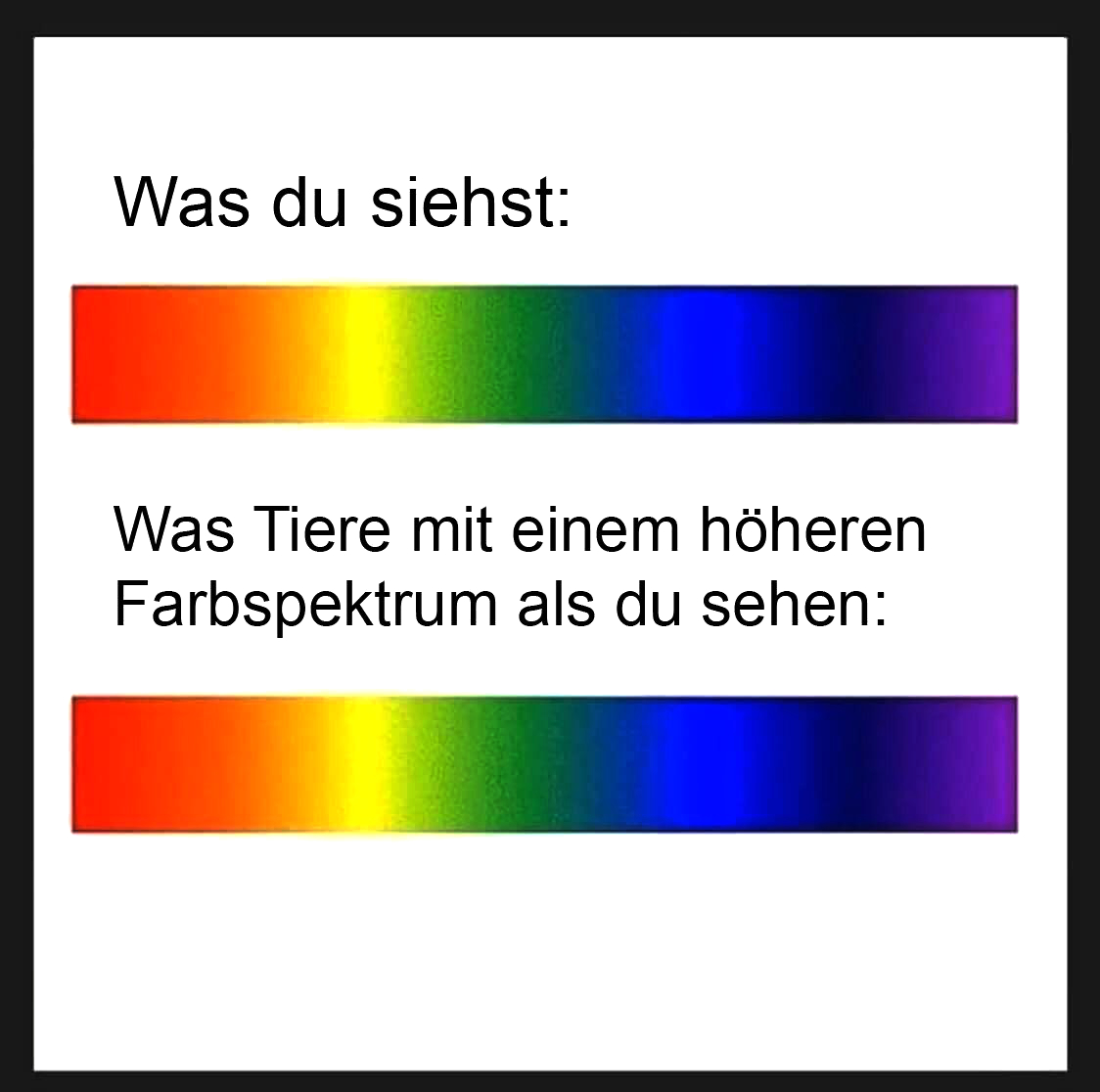 Sieht für mich irgendwie gleich aus hä?