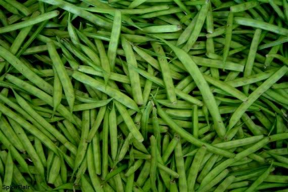 This is gawar, cluster beans in technical English.

A great source of fiber, minerals, vitamins…

And gum.

No, not the chewing kind, but one that you add to water to make it very, very thick, almost as thick as heavy cream or even molasses.

You generally don’t thicken water