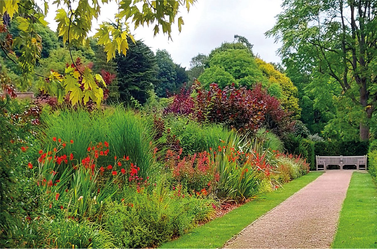 Kearsneyparks's tweet image. A cascade of colour celebrates August in the #kearsneyparks calendar. Thank you to Lesley Buttifint for this beautiful photo. #summer