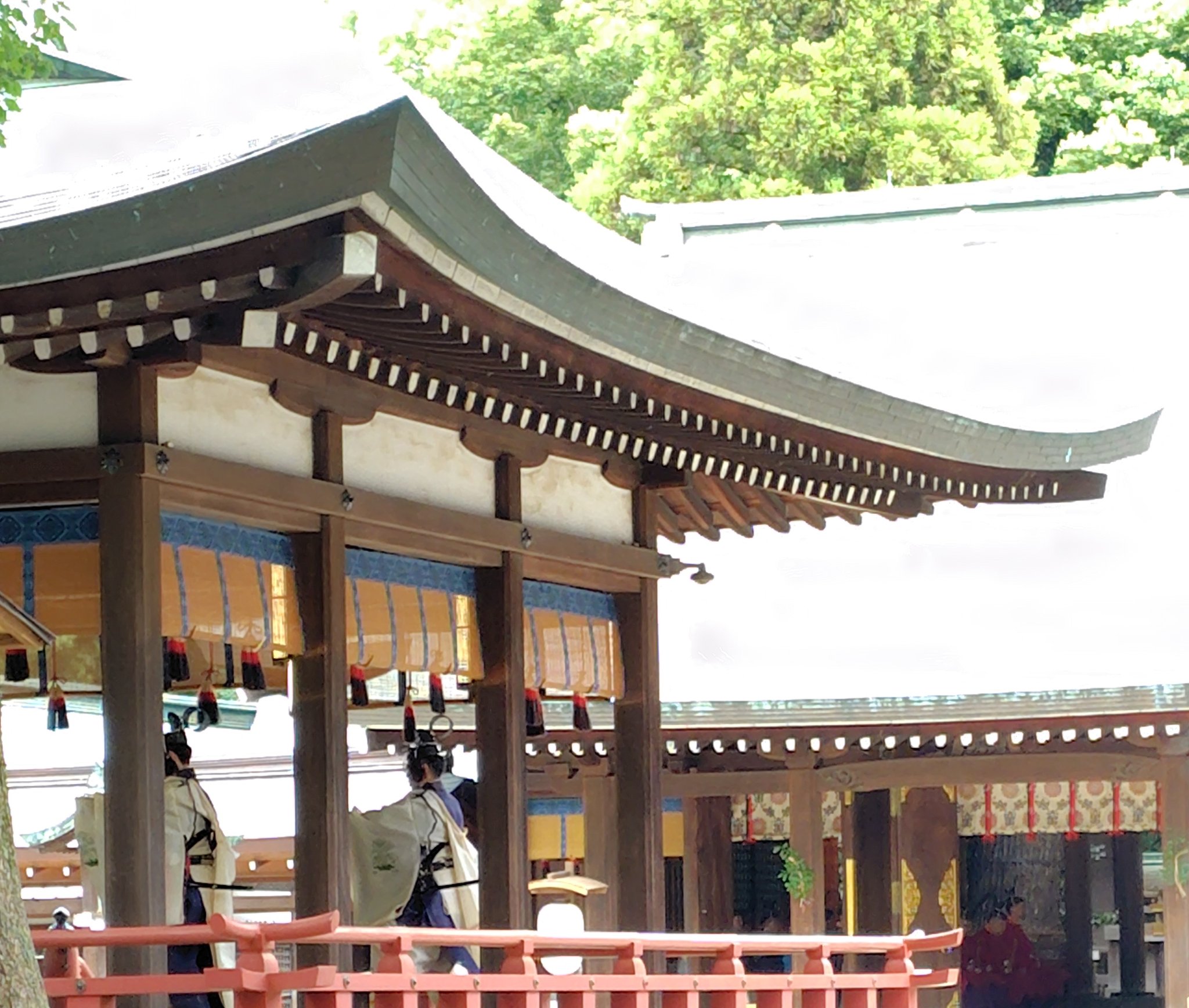 ぽこりん ⛩お返しはゆっくり少しずつ伺います
