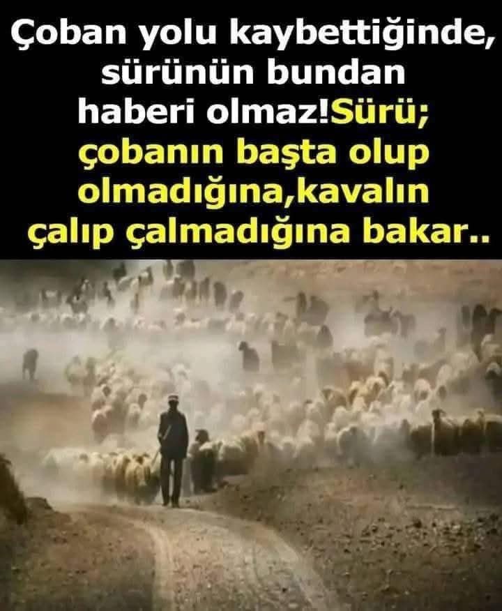 TurkLymphocyte's tweet photo. @RTErdogan https://t.co/L2OuvEKVRs