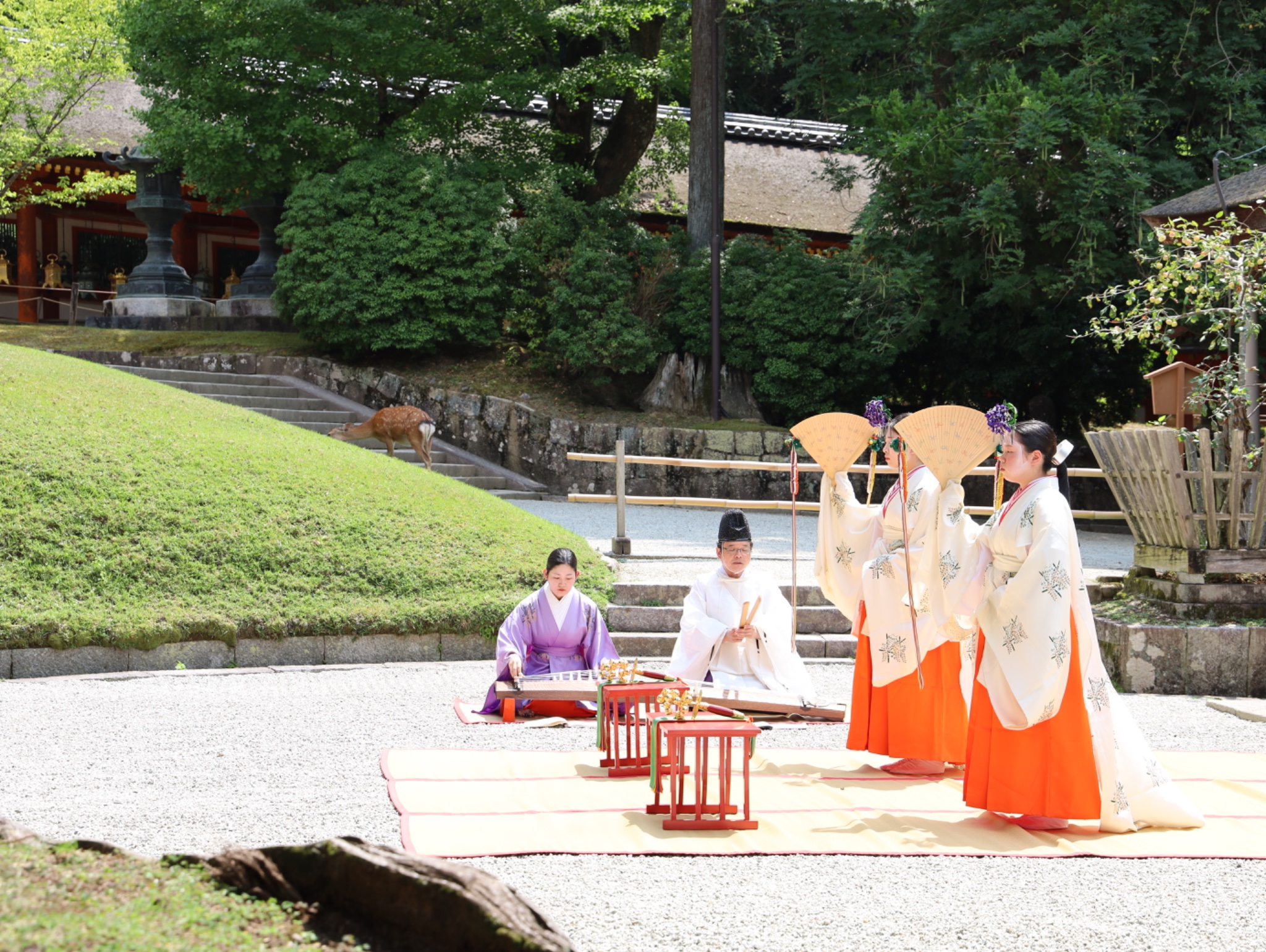 春日大社 kasugataisha shrine (@KASUGASHRINE) / X