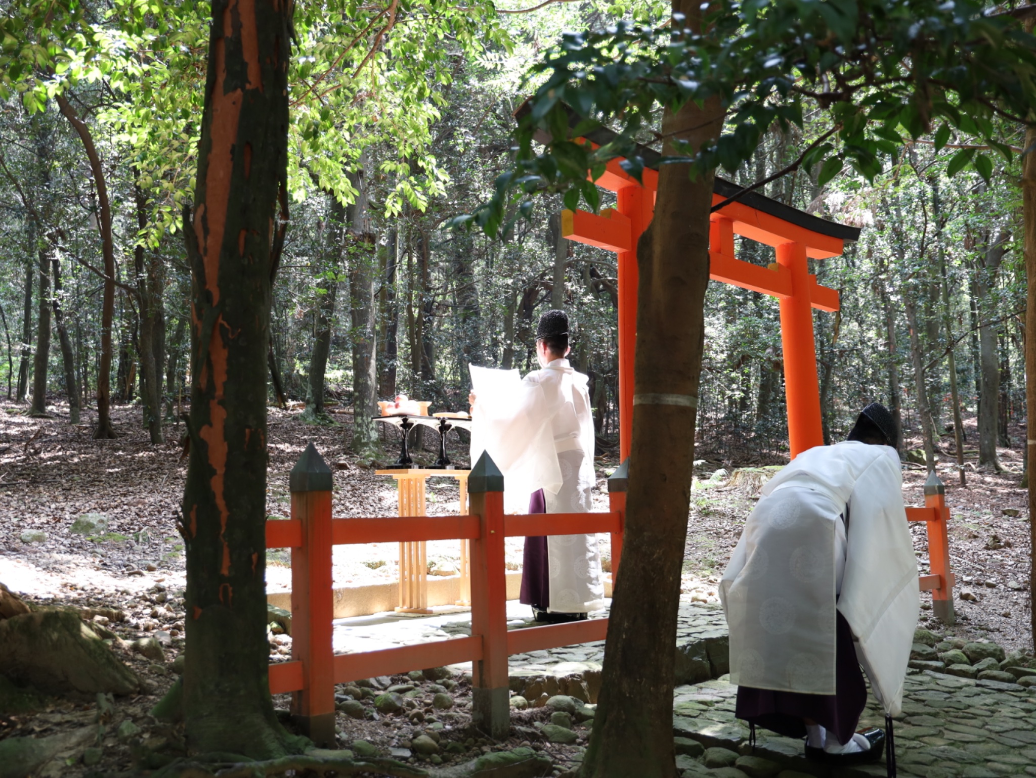 春日大社　親忠　作 春日大社 kasugataisha shrine (@KASUGASHRINE) / X