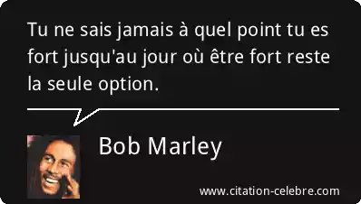 Citation Célèbre tweet media