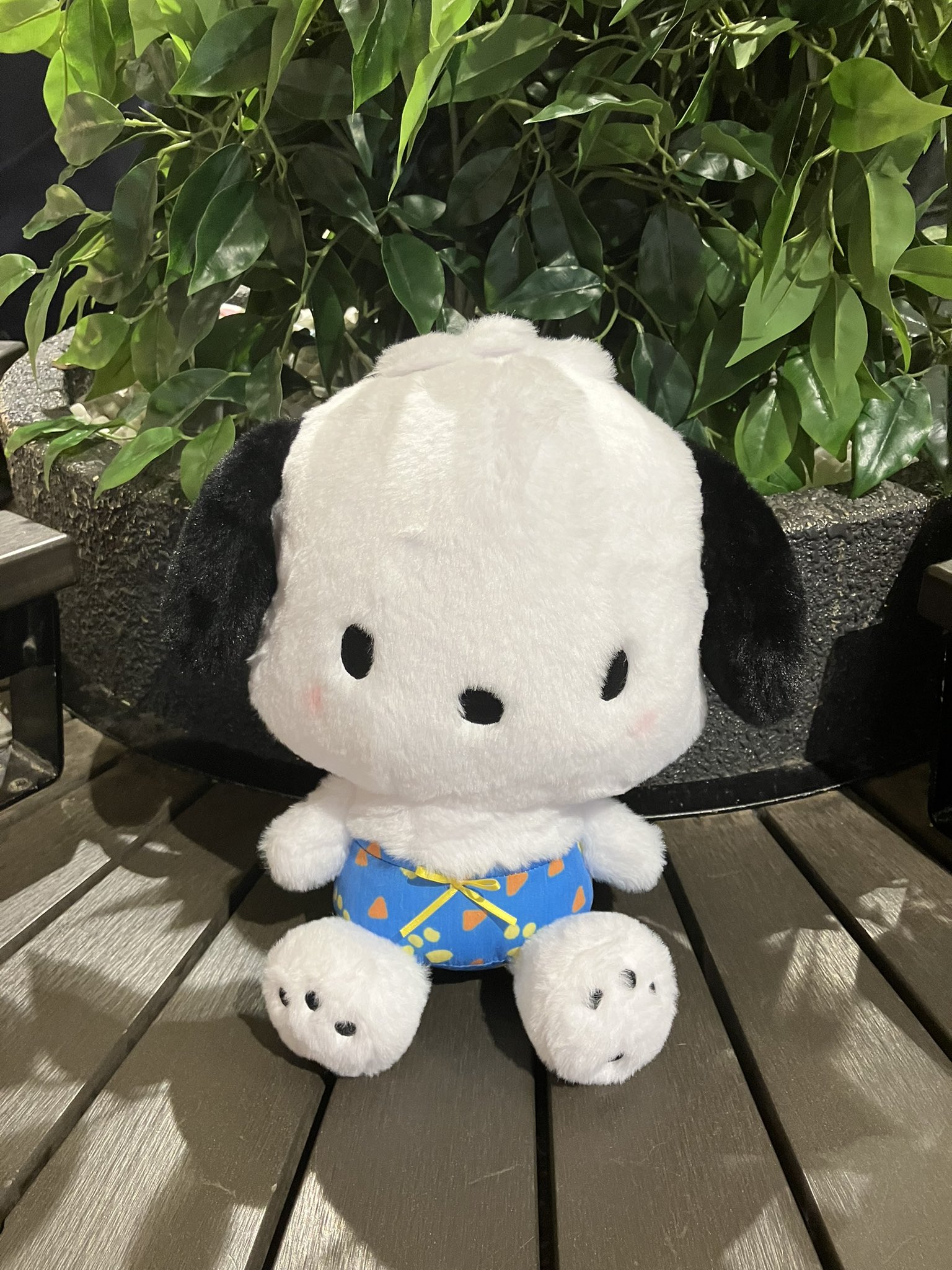 Aセットぬいぐるみ➕雑誌 entre square｜NICI ひつじのショーン ぬいぐるみ/ショーン