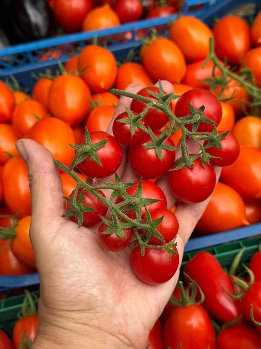 МОЙ ГОРОД - ПЕРМЬ! tweet media