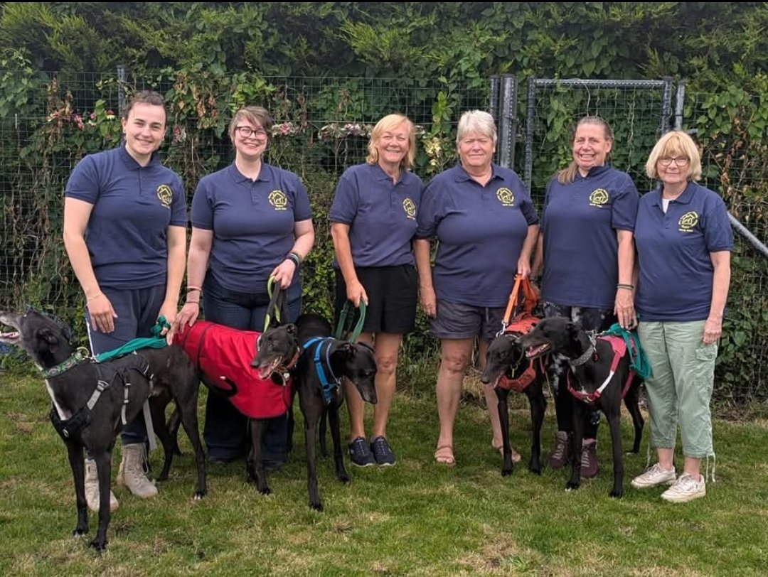 Proud to announce branch number 6💖 A massive welcome to Home Run Hounds North West - run expertly by Jo Johnson and her team. All HRH branches run entirely by volunteers = every penny raised spent on the dogs in our care🐾